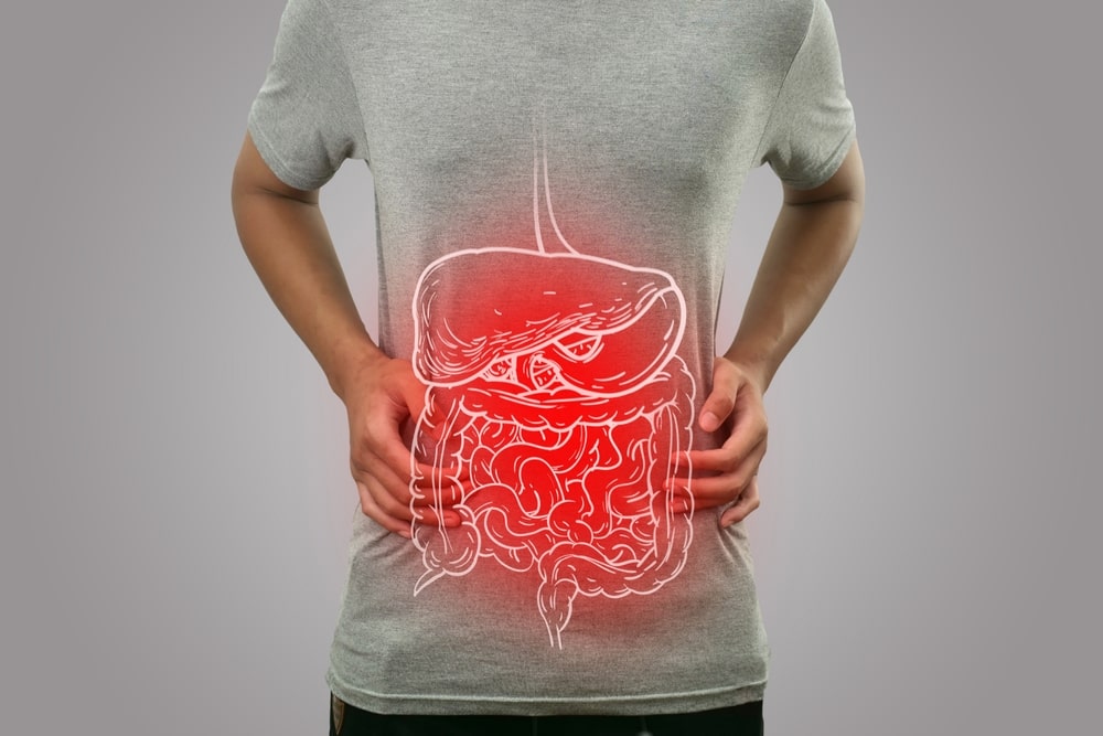 Illustration représentant les cancers digestifs, avec les organe du système digestif en rouge